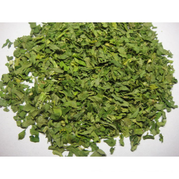 Dehydrated Celery Flakes